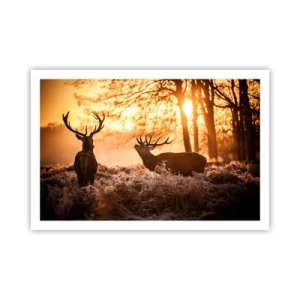 Poster - Der Traum eines Jägers - 91x61 cm