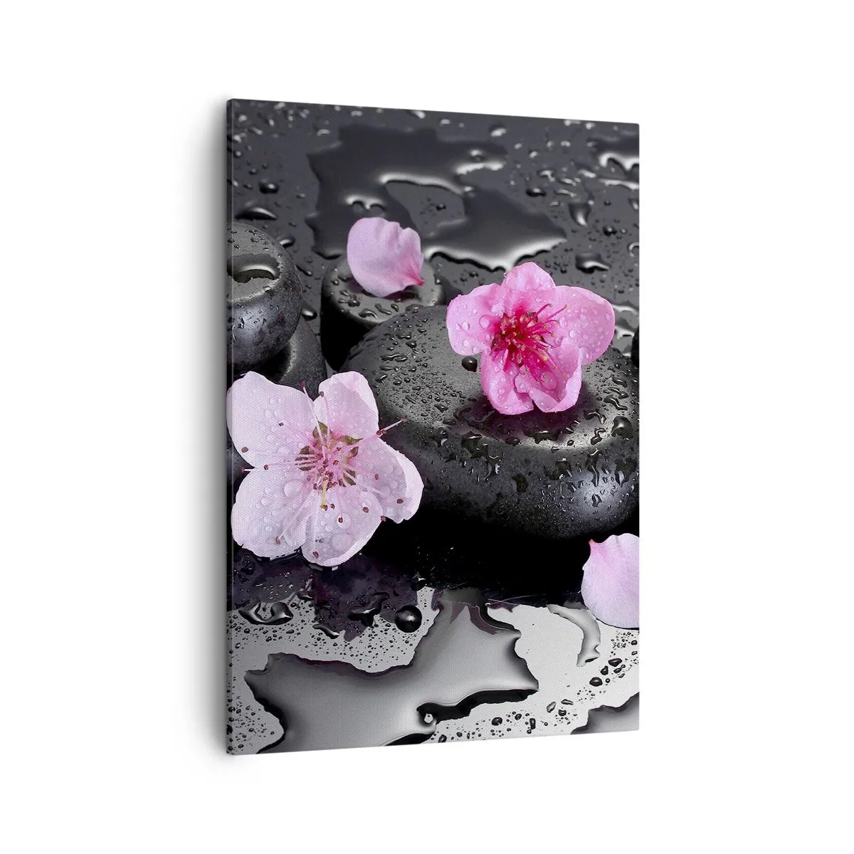 Bild auf Leinwand - Leinwandbild - Schwarze Steine und rosa Blumen im Spa-Stil - 50x70cm - Und der Stein fällt vom Herzen - Moderne Wanddekoration für Wohnzimmer und Schlafzimmer ARTTOR