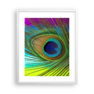 Poster in einem weißen Rahmen - Auge in Auge - 40x50 cm
