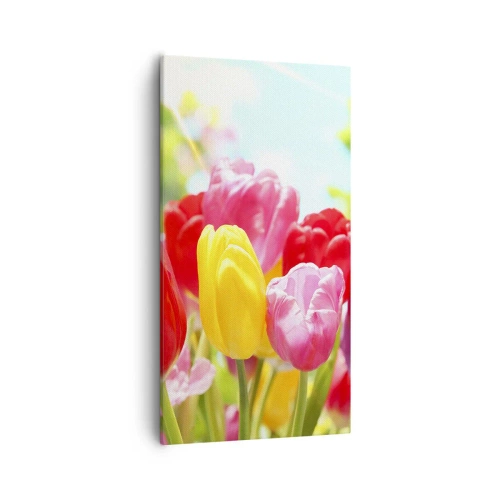 Bild auf Leinwand - Leinwandbild - Wir sind es, die Farben des Mais! - 55x100 cm