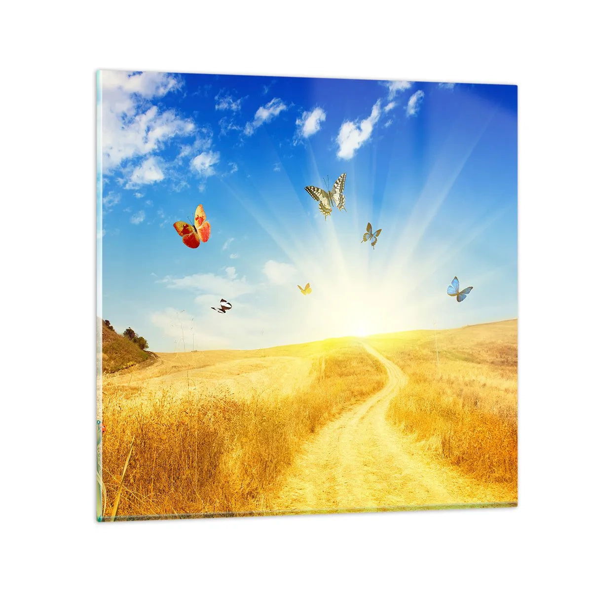 Glasbild - Bild auf glas - Und wie kann man den Sommer nicht lieben? - 30x30 cm