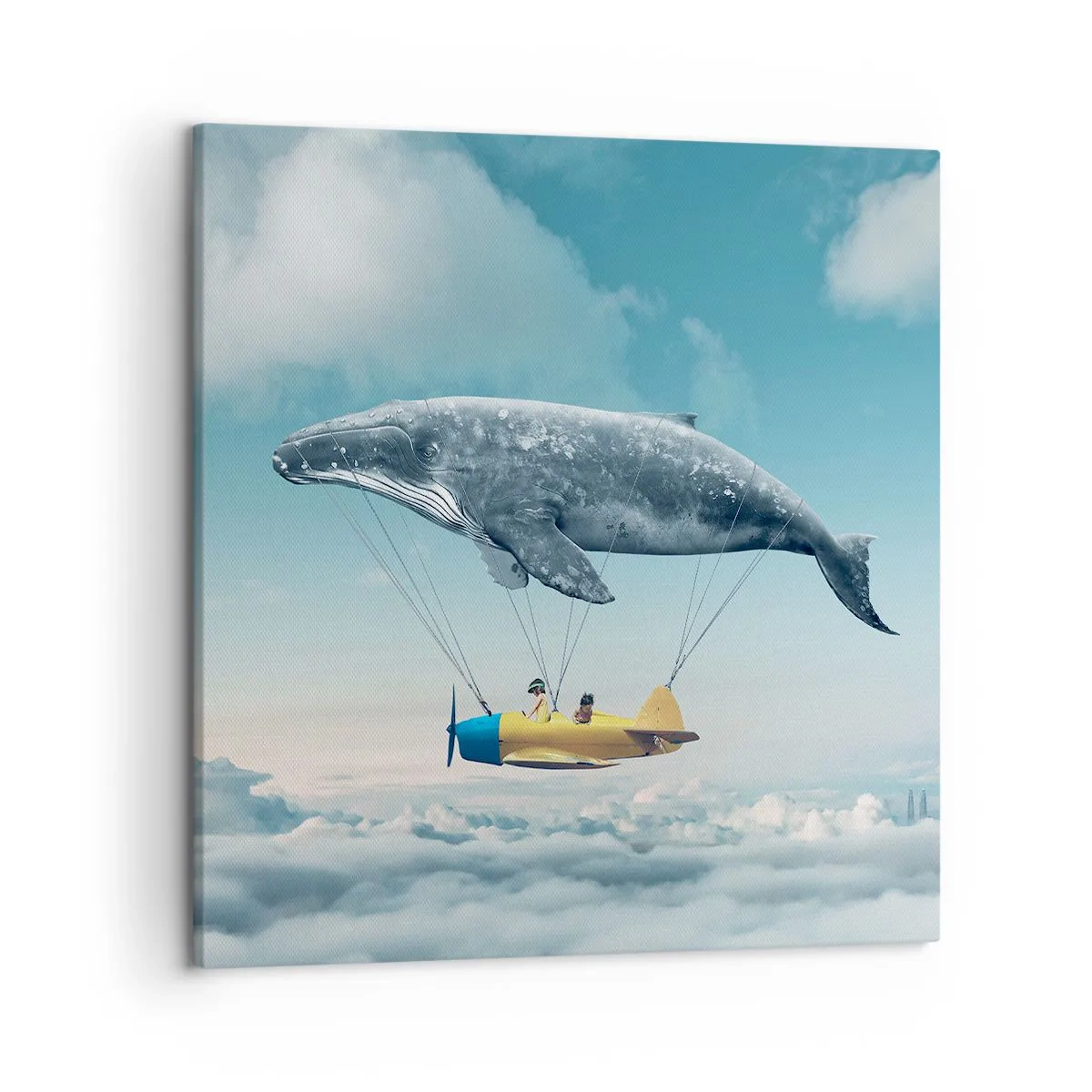 Bild auf Leinwand - Leinwandbild - Warum nicht? - 50x50 cm