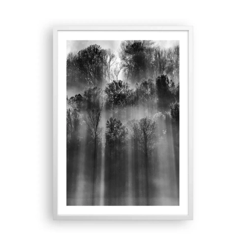 Poster in einem weißen Rahmen - In Lichtstrahlen - 50x70 cm