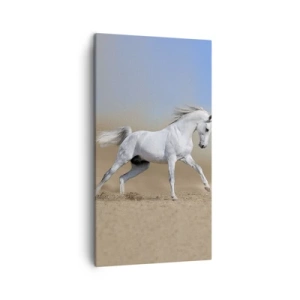 Bild auf Leinwand - Leinwandbild - Die schönste arabische Sage - 45x80 cm