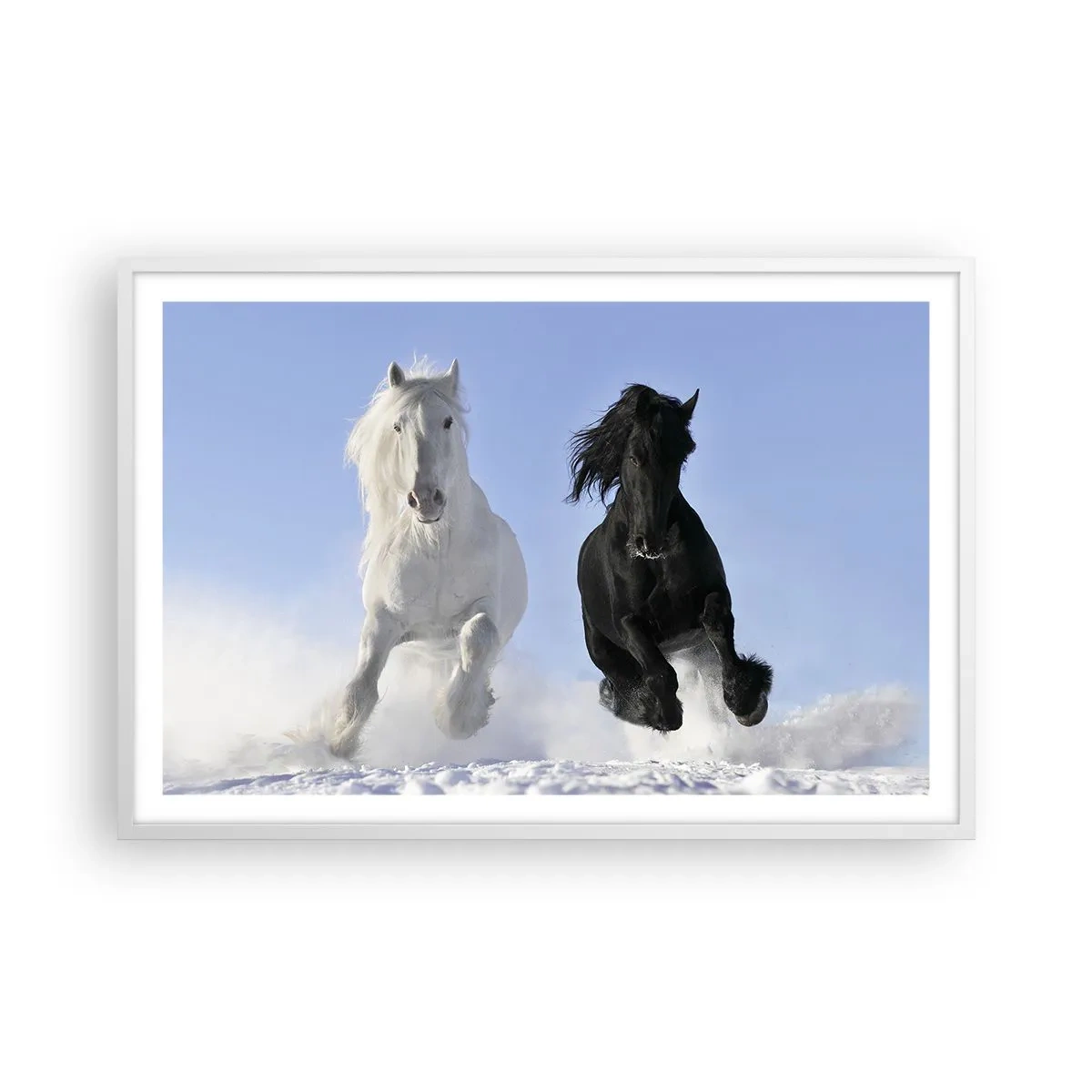 Poster in einem weißen Rahmen - Schwarz-Weiß-Galopp - 91x61 cm