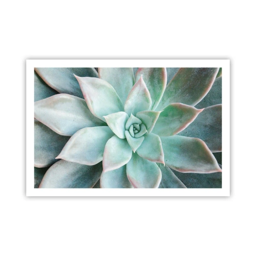 Poster - Das Herz der Wüste - 91x61 cm