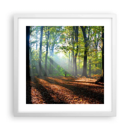 Poster in einem weißen Rahmen - Licht und Schatten - 40x40 cm