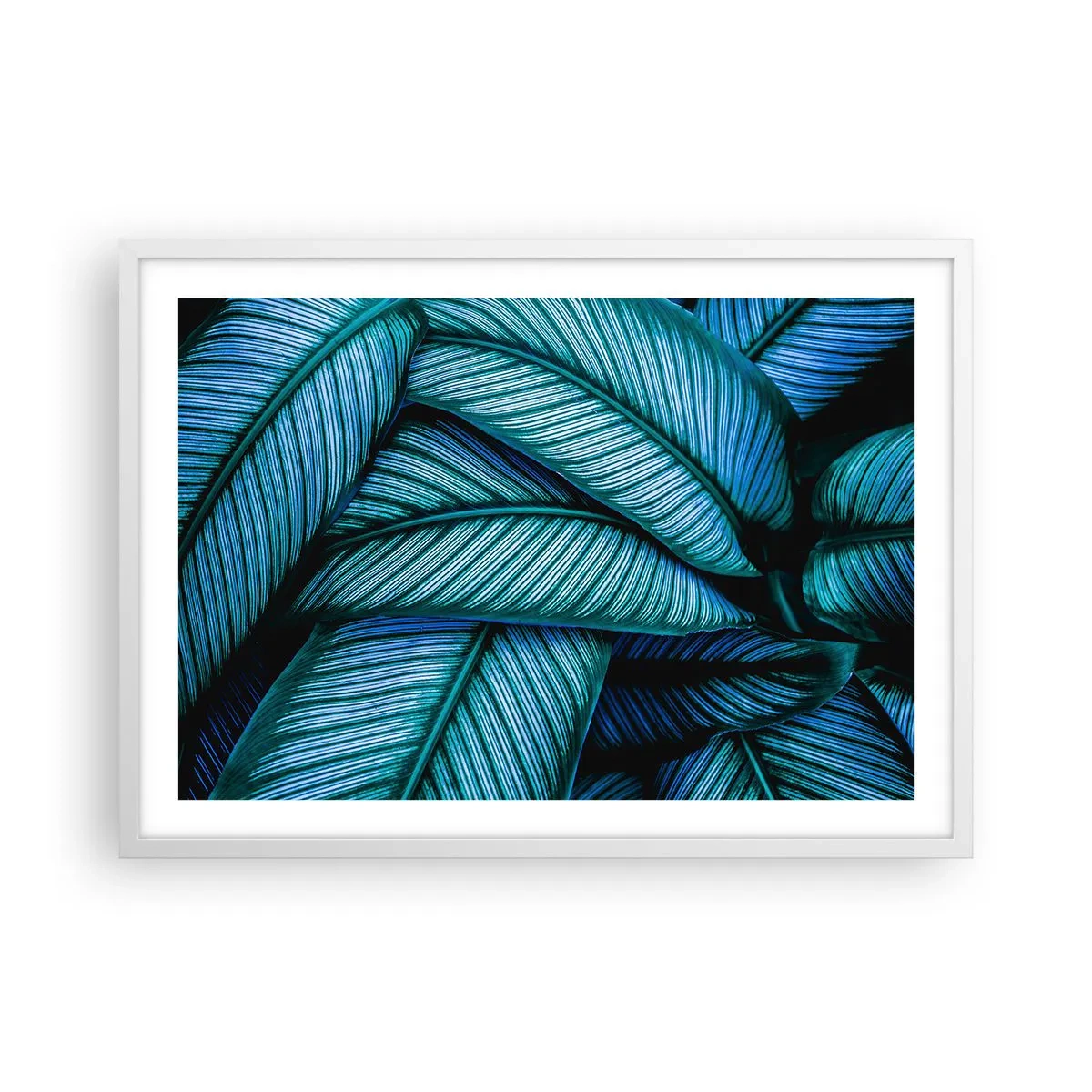 Poster in einem weißen Rahmen - Lebenslinien - 70x50 cm