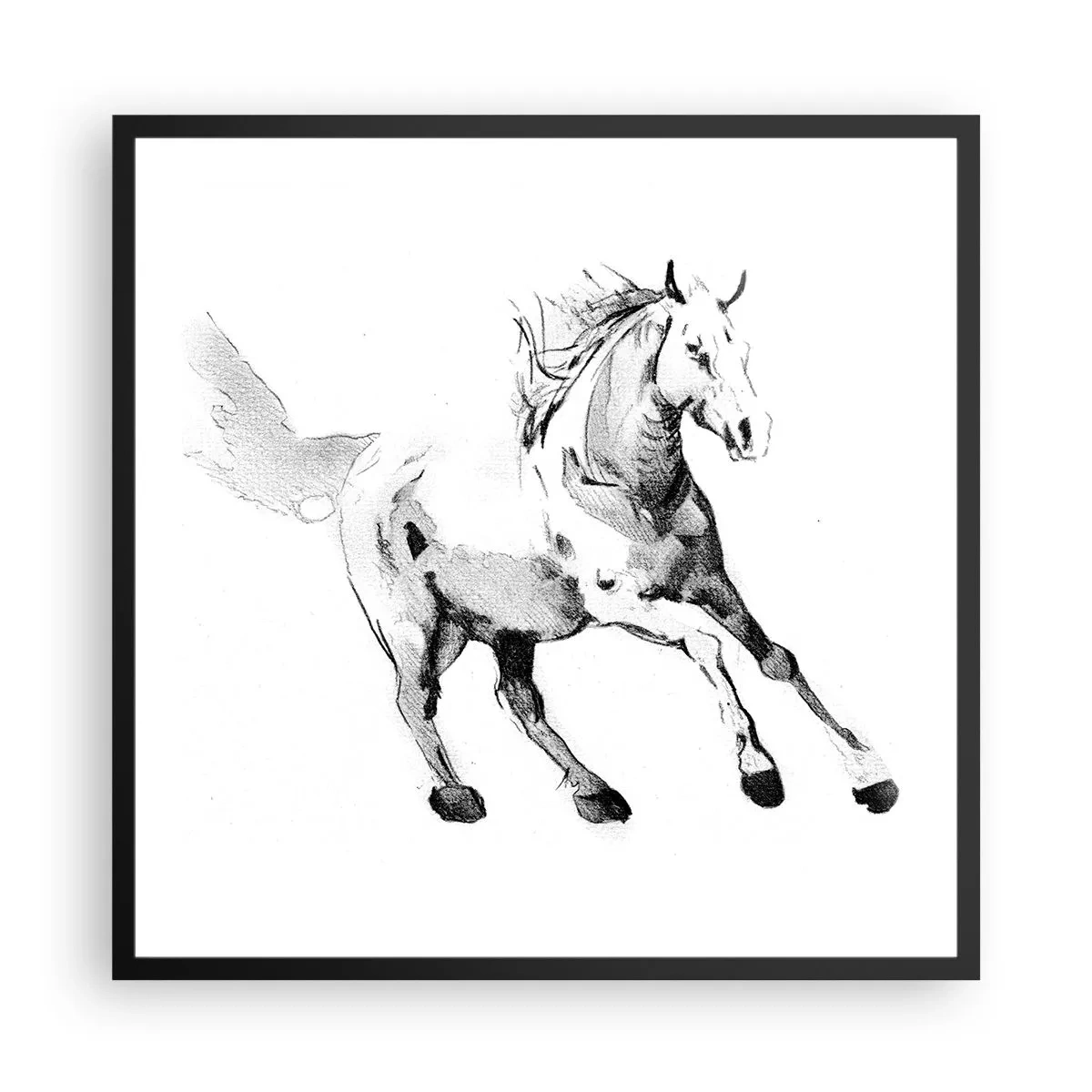 Poster in einem schwarzem Rahmen - Ungezähmte Seele - 60x60 cm