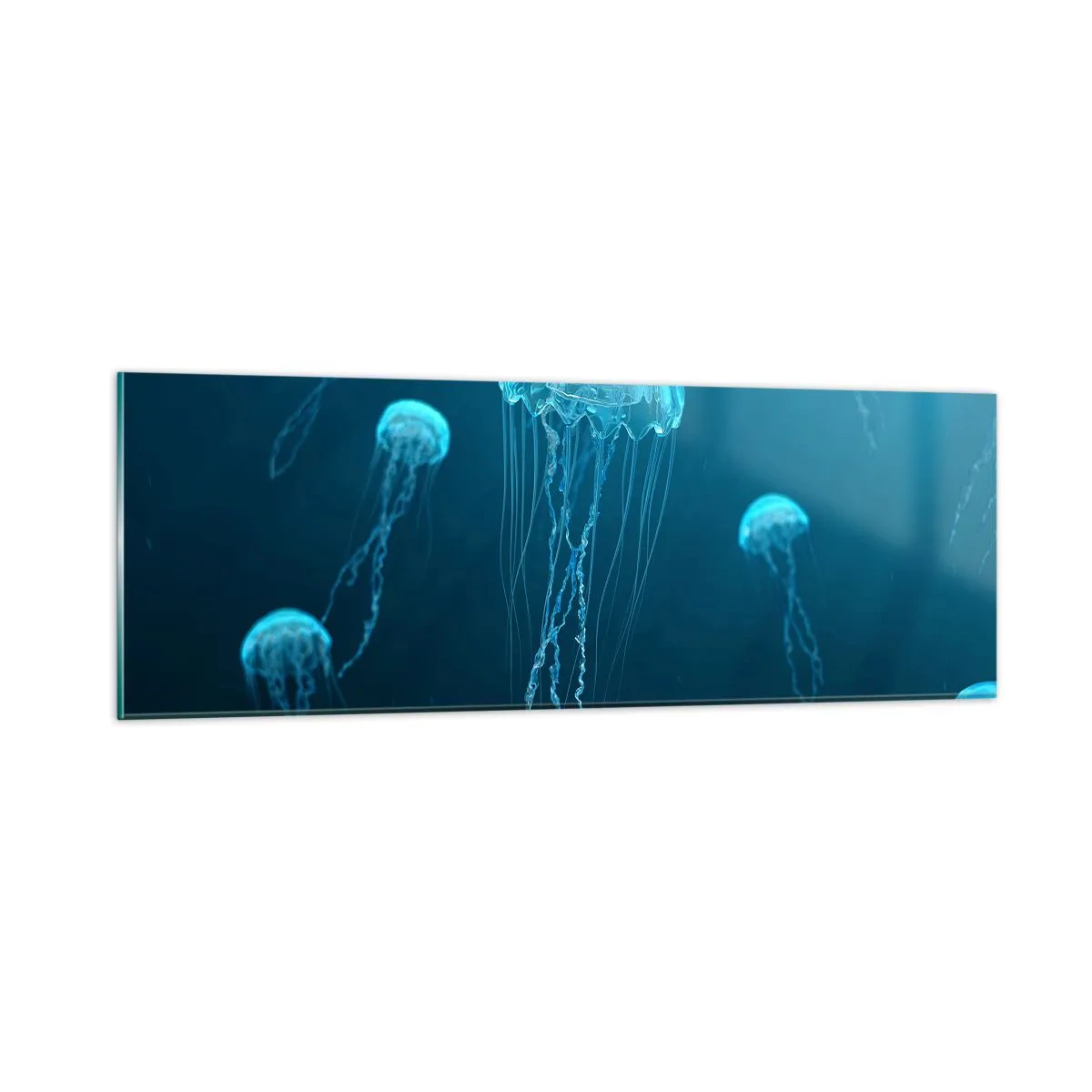 Glasbild - Bild auf glas - Ozeantanz - 90x30 cm