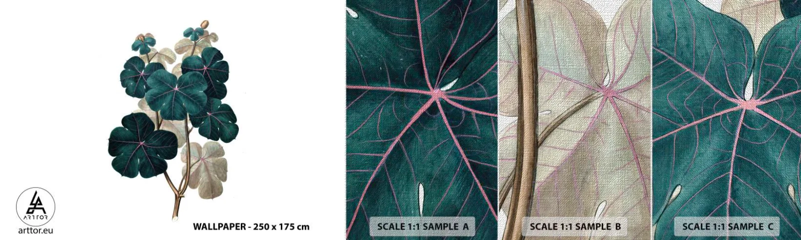 Fototapeten Muster Premium Canvas - Aus dem alten Herbarium - Anlage, Blätter, Botanik - 100x30 cm