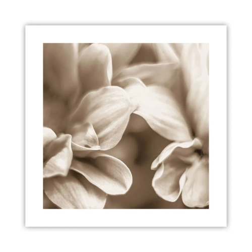 Poster - So sanft wie ein Lächeln - 40x40 cm