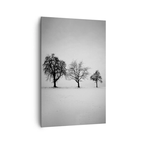 Bild auf Leinwand - Leinwandbild - Drei Bäume auf einem schneebedeckten Feld im monochromen Stil - 80x120cm - Wovon träumen sie? - Moderne Wanddekoration für Wohnzimmer und Schlafzimmer ARTTOR