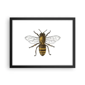 Poster in einem schwarzem Rahmen - Schön und gut - 40x30 cm