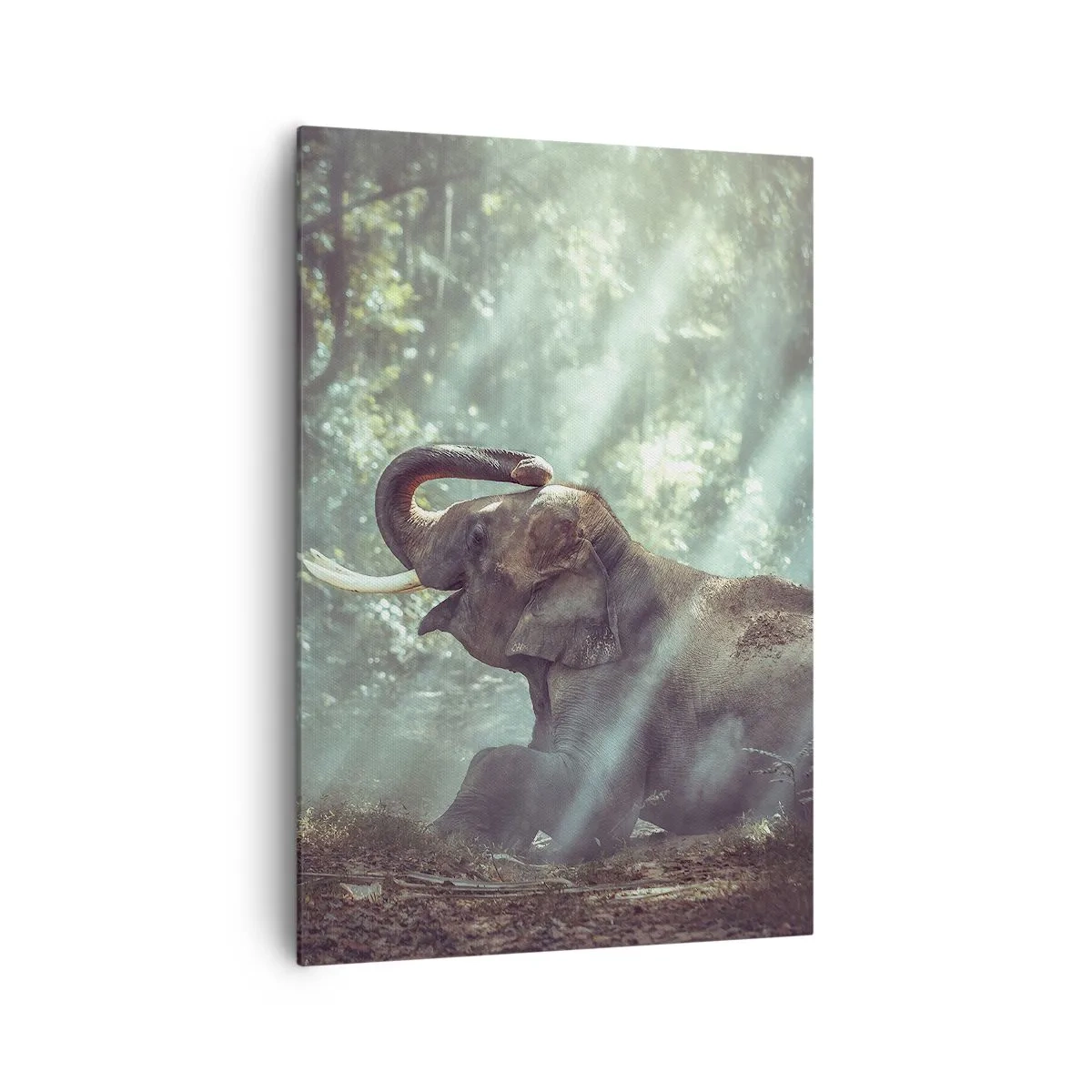 Bild auf Leinwand - Leinwandbild - Ein Junge und ein Elefant in einer sonnenbeschienenen Waldlandschaft - 70x100cm - Und hör dir das an... - Moderne Wanddekoration für Wohnzimmer und Schlafzimmer ARTTOR