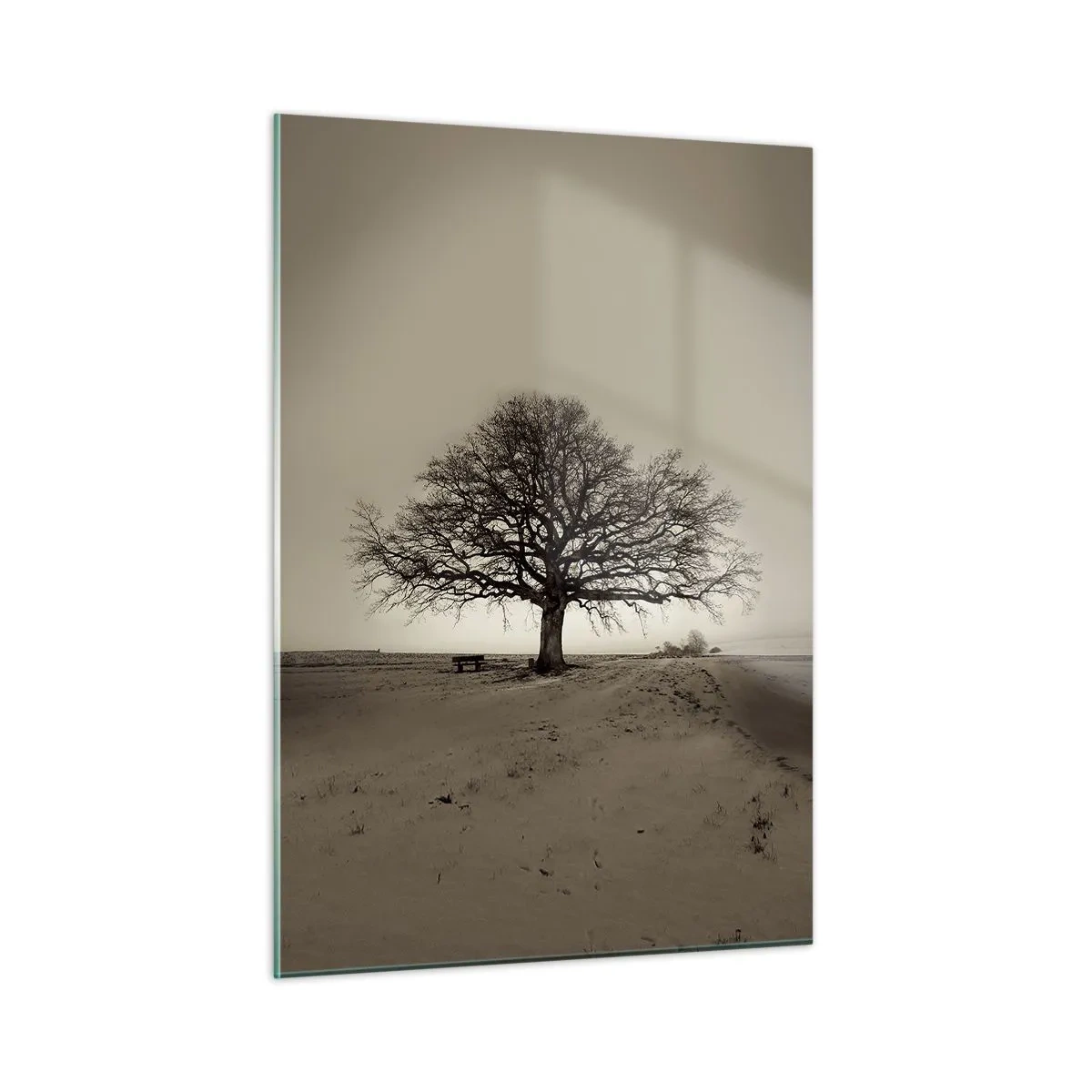 Glasbild - Bild auf glas - Ein einsamer Baum in einer monochromen Landschaft - 50x70cm - Von hier zu Ewigkeit - Moderne Wanddekoration für Wohnzimmer und Schlafzimmer ARTTOR