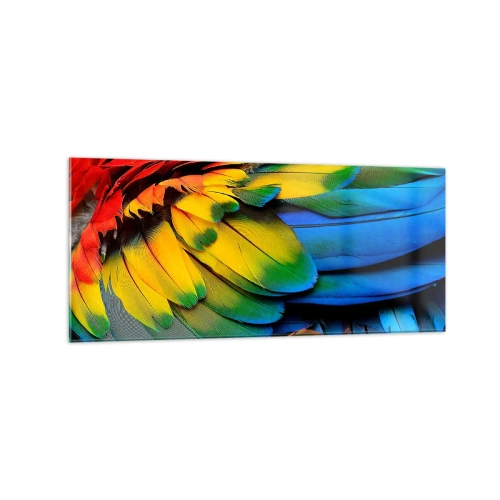 Glasbild - Bild auf glas - Eine Nahaufnahme der bunten Federn eines Papageis - 120x50cm - Paradiesvogel - Moderne Wanddekoration für Wohnzimmer und Schlafzimmer ARTTOR