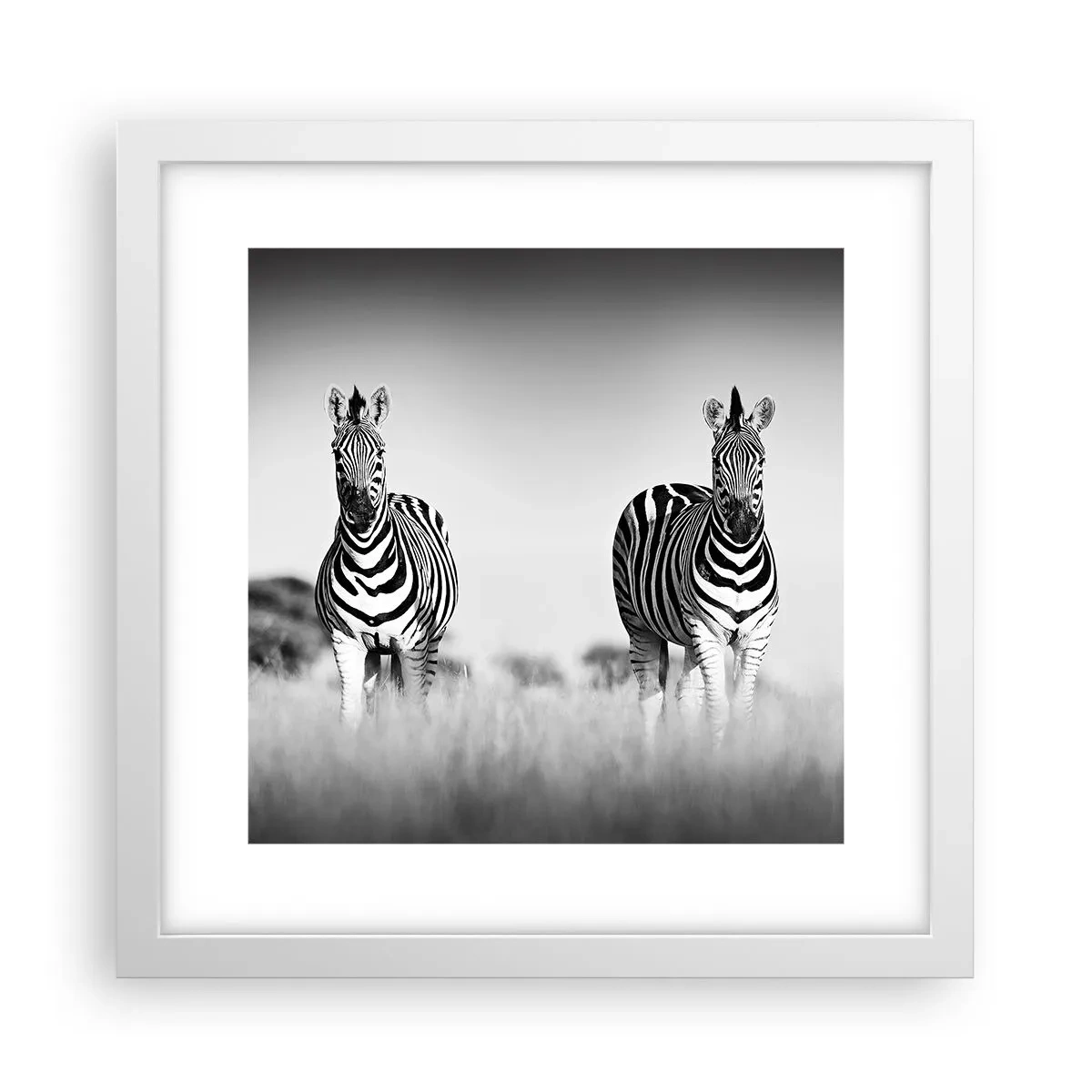 Poster in einem weißen Rahmen - Die Welt ist doch schwarz-weiß - 30x30 cm