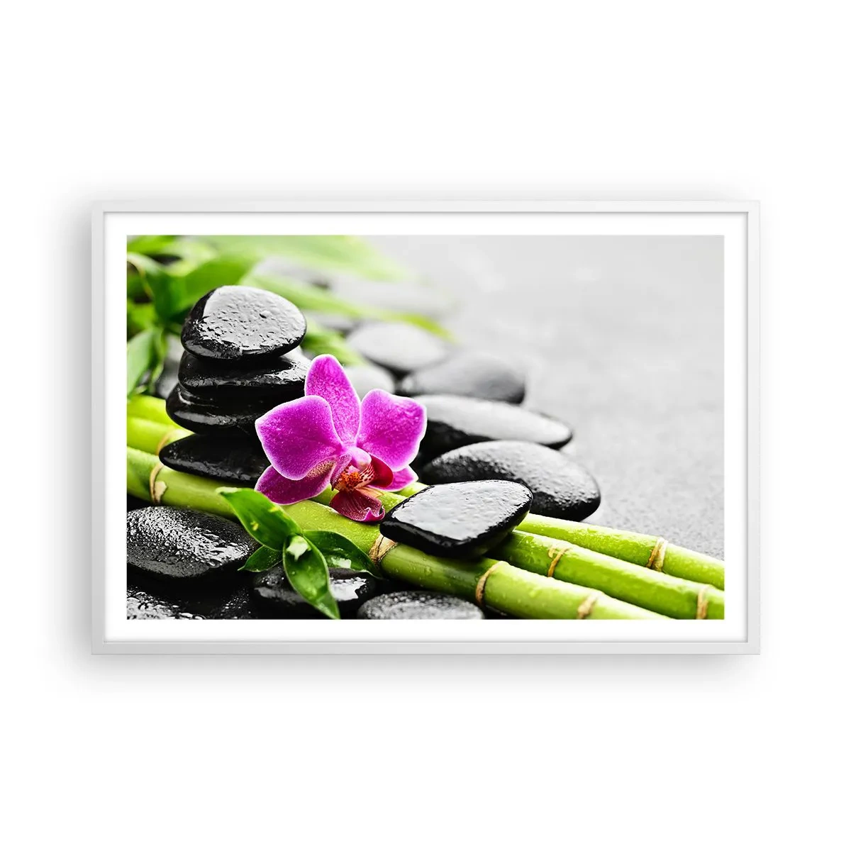 Poster in einem weißen Rahmen - In ruhiger Balance - 91x61 cm