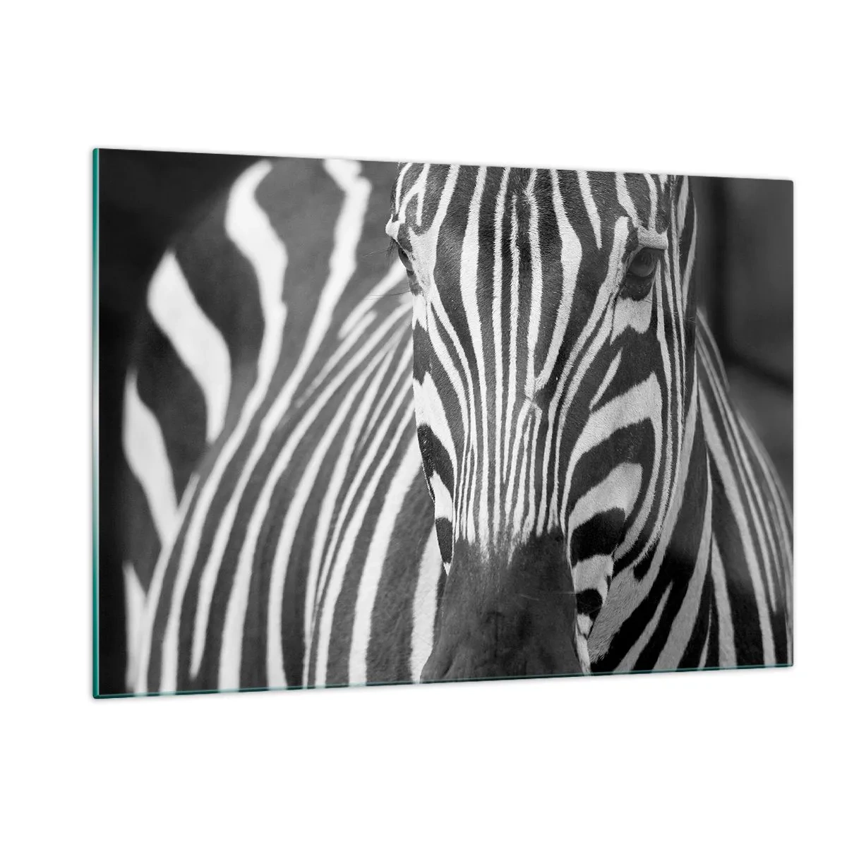 Glasbild - Bild auf glas - Schwarz-Weiß-Porträt eines Zebras mit sichtbaren Streifen - 120x80cm - Die Welt ist schwarz und weiß - Moderne Wanddekoration für Wohnzimmer und Schlafzimmer ARTTOR
