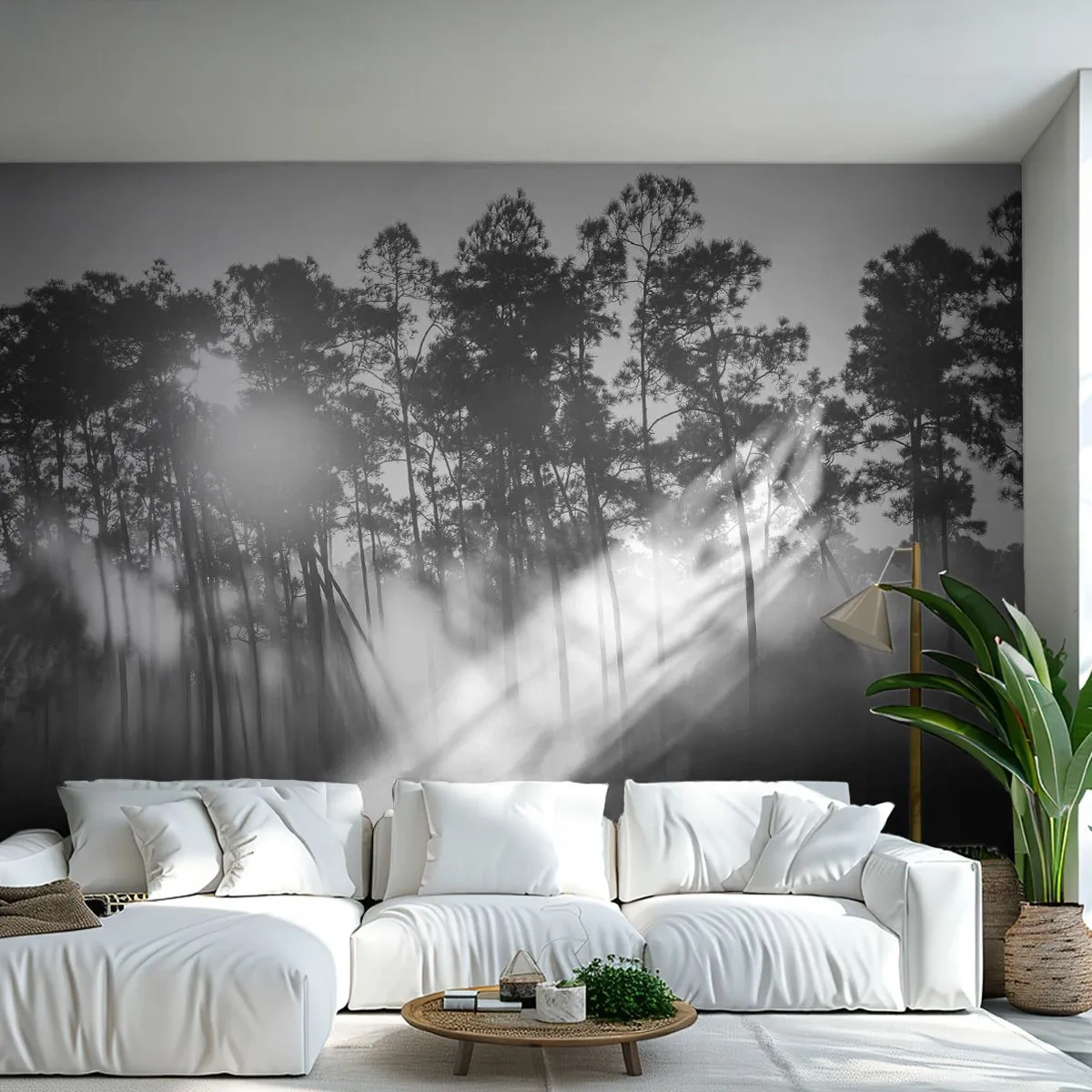 Fototapete Premium Sand - Schwarz-weiße neblige Waldlandschaft mit Sonnenstrahlen - 100x70cm - Unaufhaltsame Sonne - Moderne Wanddekoration für Wohnzimmer und Schlafzimmer ARTTOR