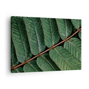 Bild auf Leinwand - Leinwandbild - Makroaufnahme von grünen Blättern mit Tautropfen - 70x50cm - Im grünen Rhythmus - Moderne Wanddekoration für Wohnzimmer und Schlafzimmer ARTTOR
