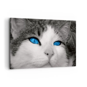Bild auf Leinwand - Leinwandbild - Porträt einer Katze mit blauen Augen im Schwarz-Weiß-Stil - 120x80cm - Ungewöhnlich blauäugig - Moderne Wanddekoration für Wohnzimmer und Schlafzimmer ARTTOR