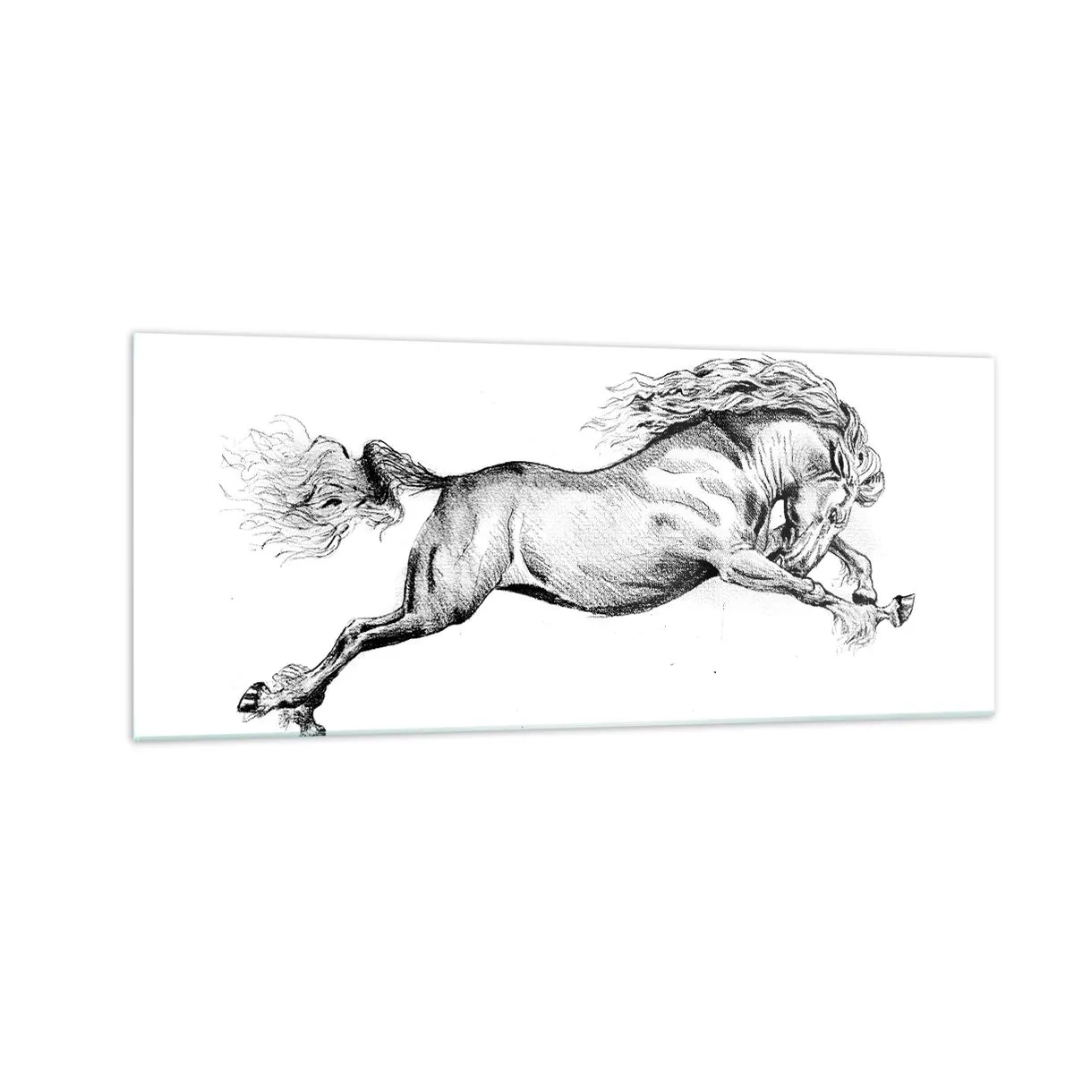 Glasbild - Bild auf glas - Im Galopp festgehalten - 100x40 cm