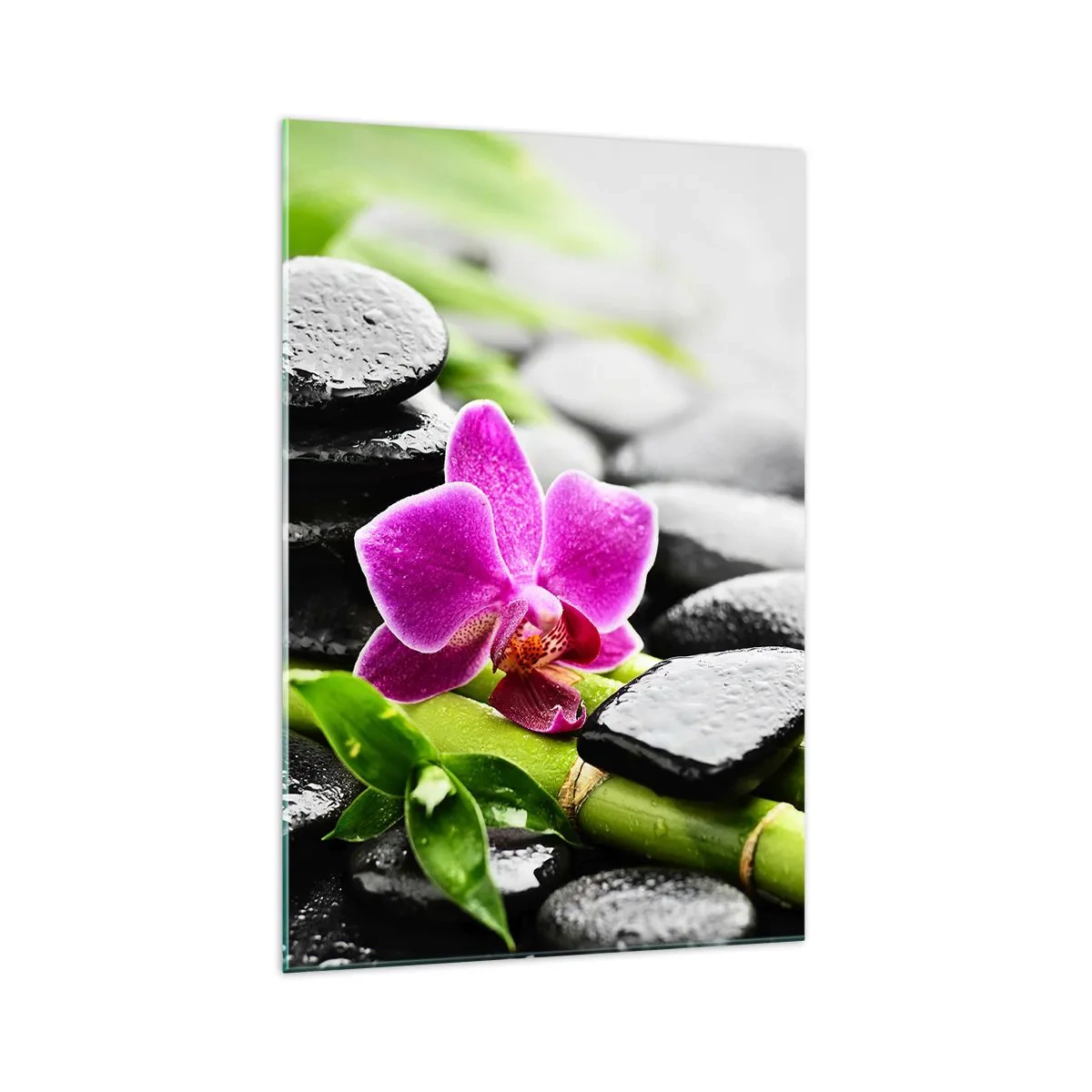 Glasbild - Bild auf glas - Lila Orchidee, schwarze Steine und Bambus in einer ruhigen Komposition - 70x100cm - In ruhiger Balance - Moderne Wanddekoration für Wohnzimmer und Schlafzimmer ARTTOR
