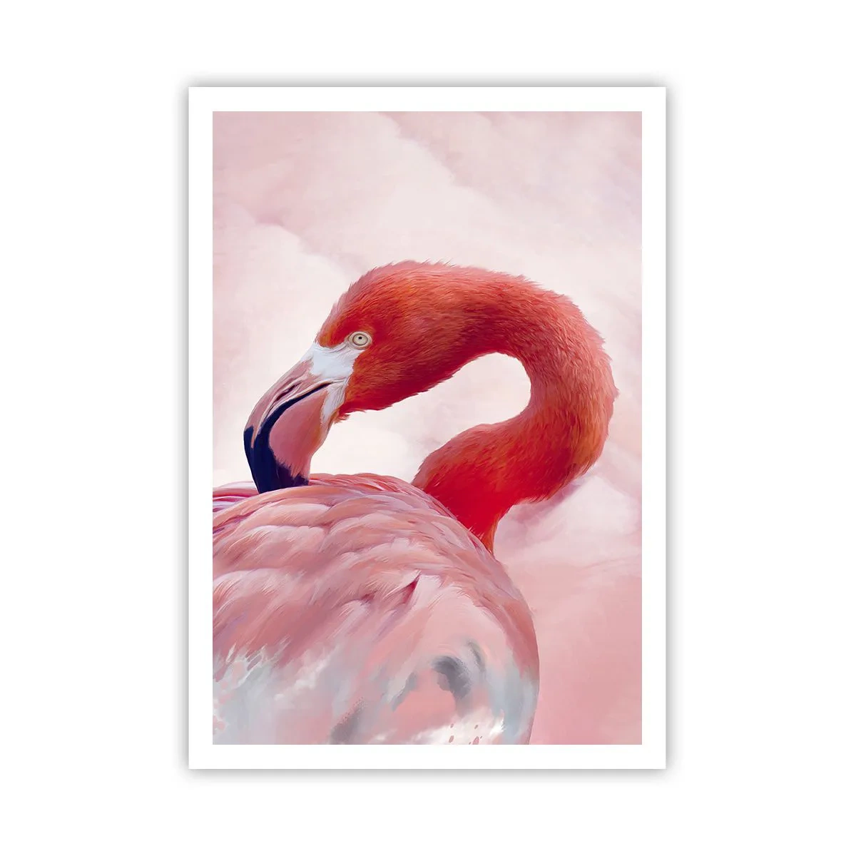 Poster - Vogel Schönheit - 70x100 cm