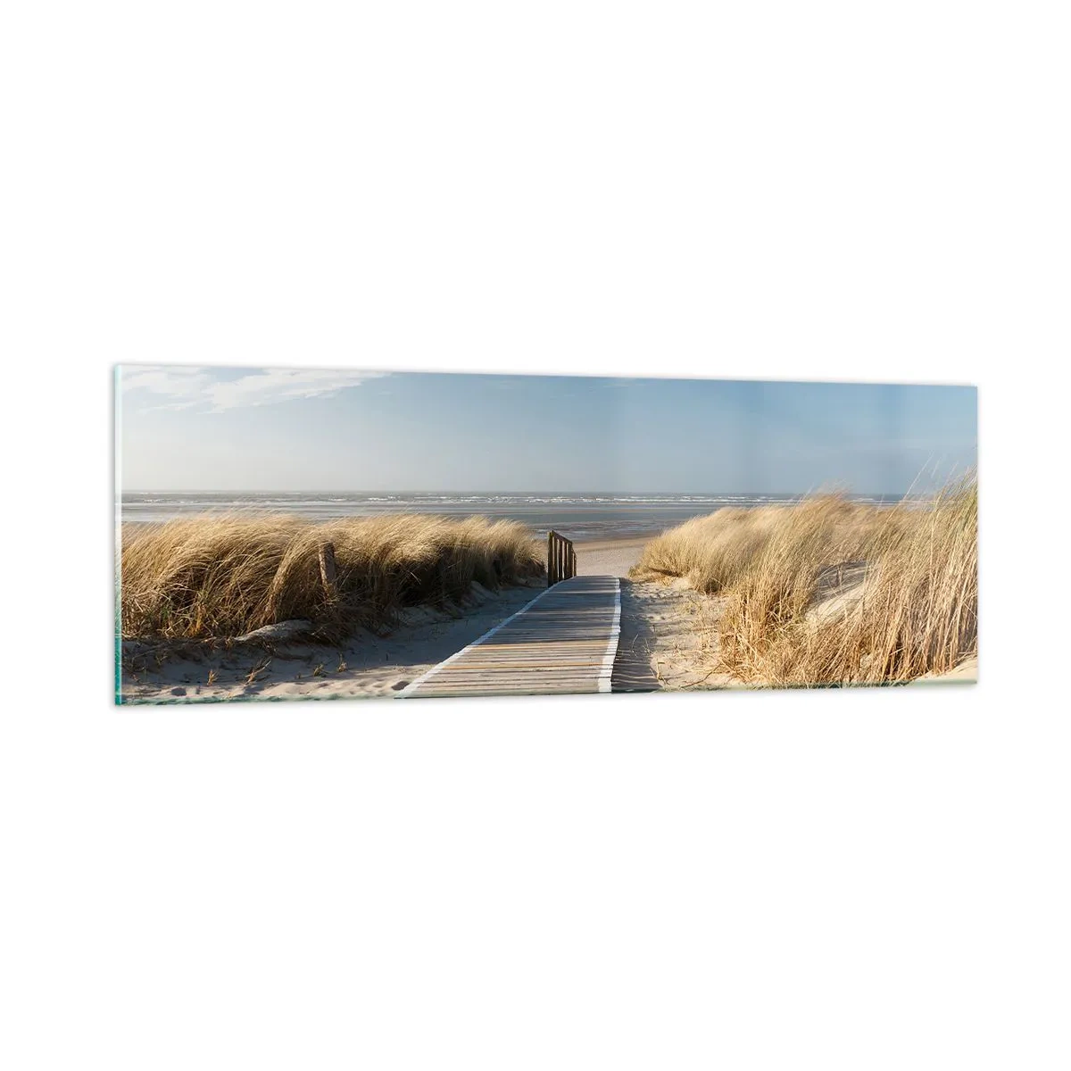 Glasbild - Bild auf glas - Hinter der Düne, im Rauschen des Grases - 90x30 cm
