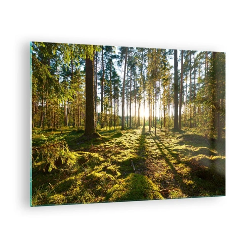 Glasbild - Bild auf glas - Sonnenstrahlen dringen durch die Bäume im Wald - 70x50cm - … Hinter den sieben Wäldern - Moderne Wanddekoration für Wohnzimmer und Schlafzimmer ARTTOR