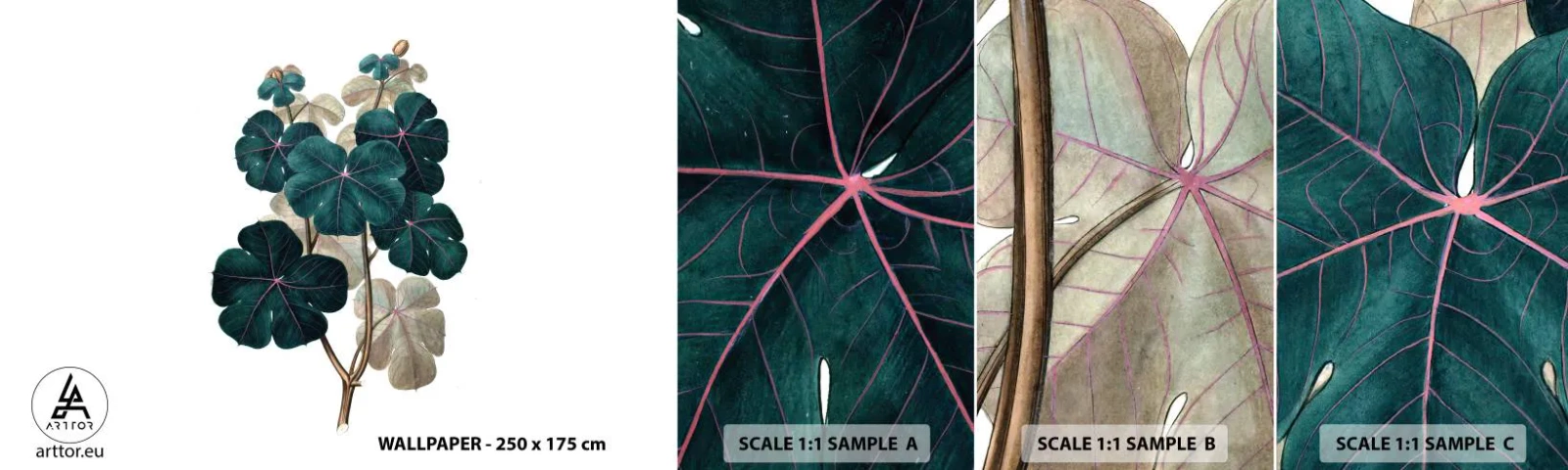 Fototapetenmuster Standard Eco - Aus dem alten Herbarium - Anlage, Blätter, Botanik - 100x30 cm