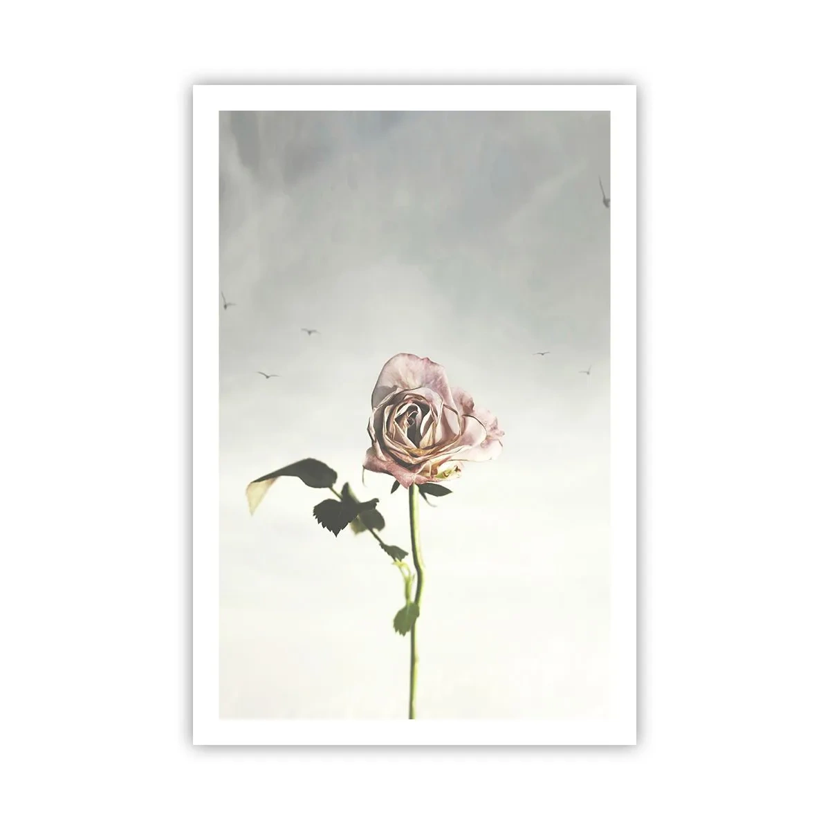 Poster - Begrüßung des Frühlings - 61x91 cm