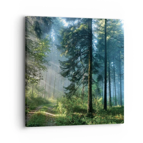Bild auf Leinwand - Leinwandbild - Strahlend am Morgen - 30x30 cm