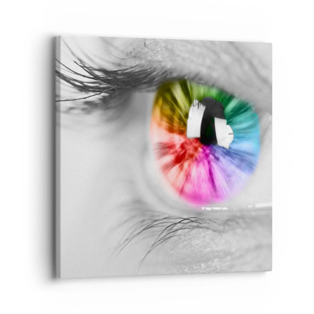 Bild auf Leinwand - Leinwandbild - Schau dir die Welt in Farbe an - 30x30 cm