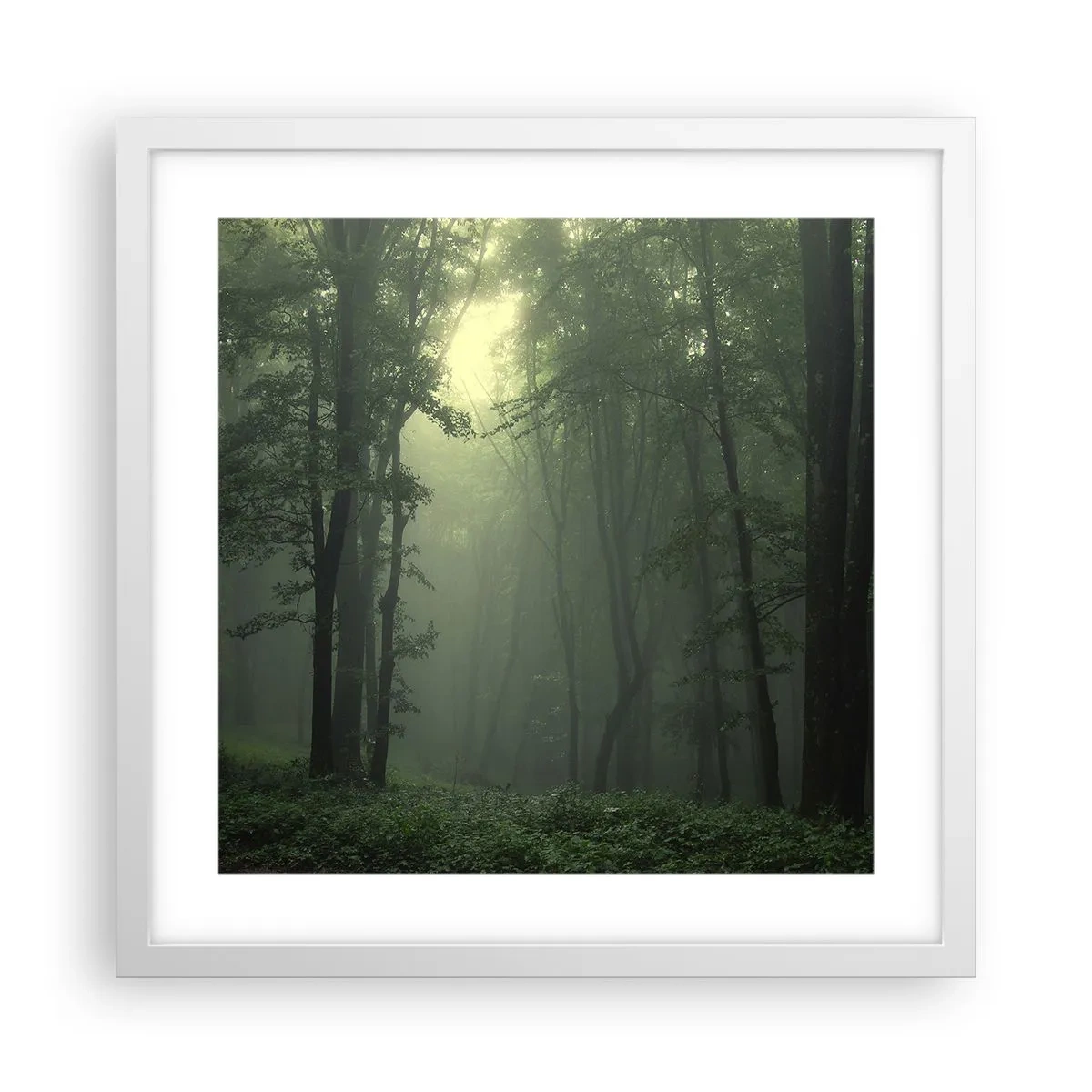 Poster in einem weißen Rahmen - Bevor er aufwacht - 40x40 cm