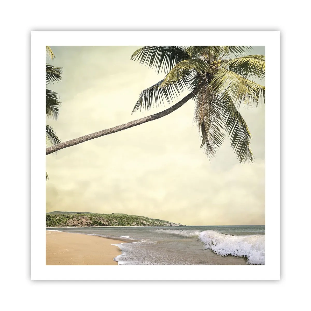 Poster - Tropischer Traum - 60x60 cm