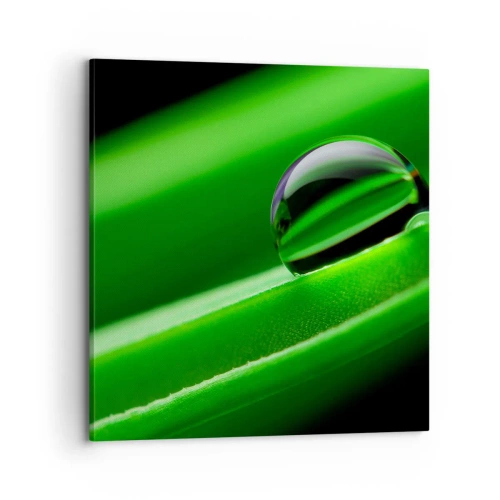 Bild auf Leinwand - Leinwandbild - Leben hautnah - 70x70 cm