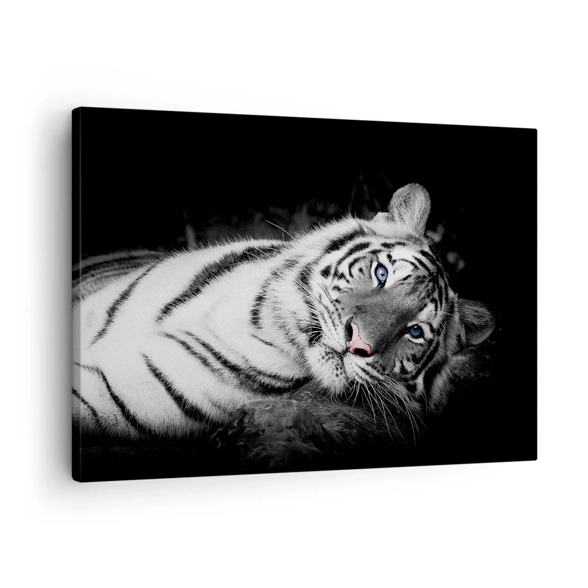 Bild auf Leinwand - Leinwandbild - Ein künstlerisch gestalteter weißer Tiger vor schwarzem Hintergrund - 70x50cm - Wildnis und Frieden - Moderne Wanddekoration für Wohnzimmer und Schlafzimmer ARTTOR