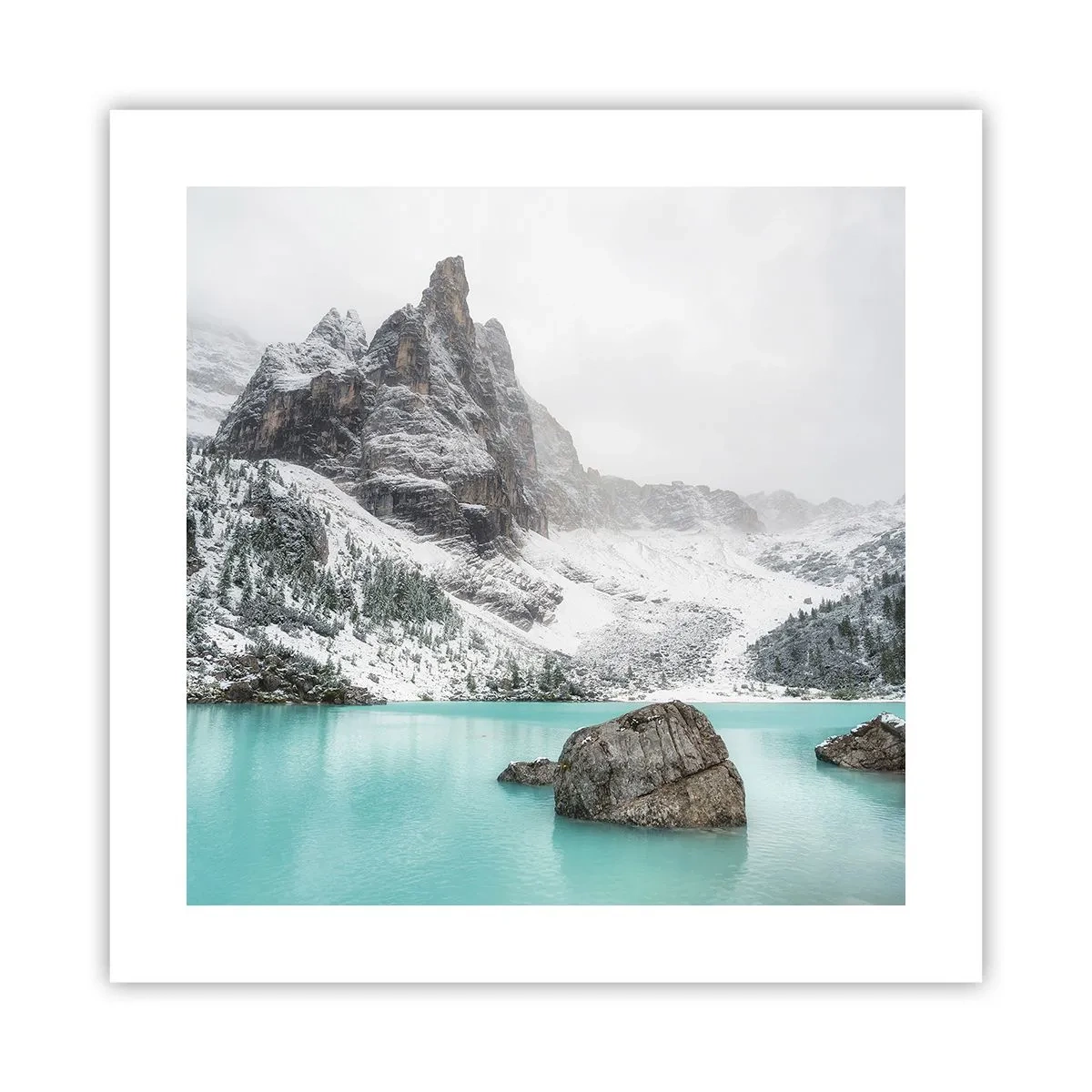 Poster - Auf der Hut - 40x40 cm