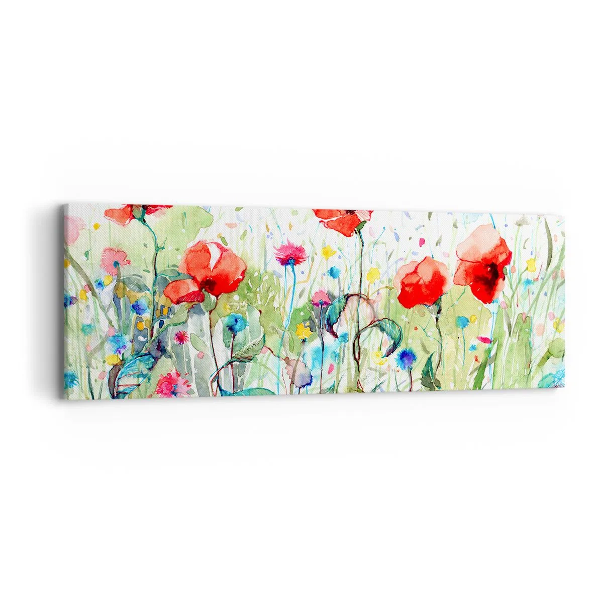 Bild auf Leinwand - Leinwandbild - Blühende Maiwiese - 90x30 cm