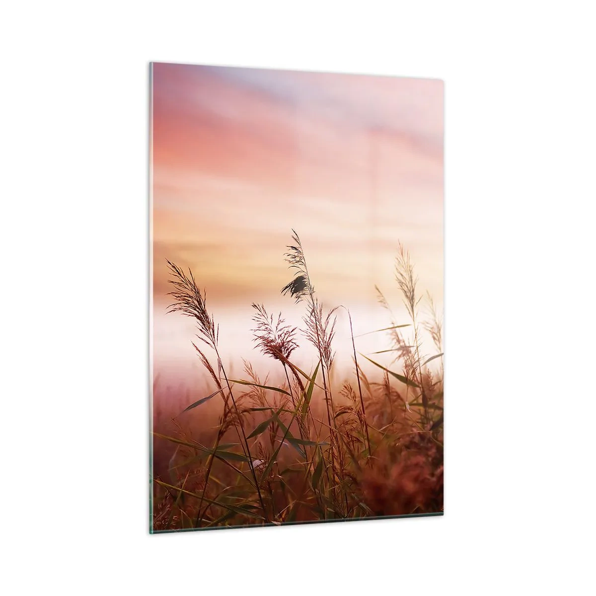 Glasbild - Bild auf glas - Eine Wiese im Morgennebel mit pastellfarbenem Himmel - 50x70cm - Drachen, Löwenzahn, Wind - Moderne Wanddekoration für Wohnzimmer und Schlafzimmer ARTTOR