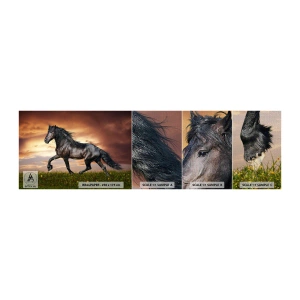 Fototapeten Muster Premium Canvas - Schwarzer Prinz - Tiere, arabisches Pferd, Landschaft - 100x30 cm