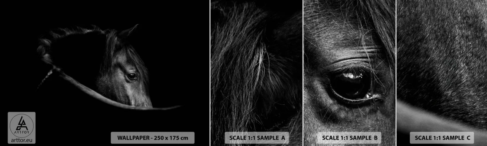 Fototapeten Muster Selbstklebend Deluxe Sticker - Schwarzer Prinz - Pferd, Tier, Künstlerisch - 100x30 cm