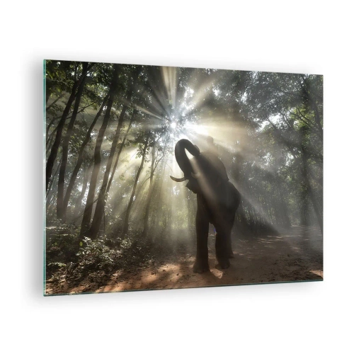 Glasbild - Bild auf glas - Ein Elefant in einem Wald, der vom Sonnenlicht erleuchtet wird - 70x50cm - Unter dem Glücksstern - Moderne Wanddekoration für Wohnzimmer und Schlafzimmer ARTTOR