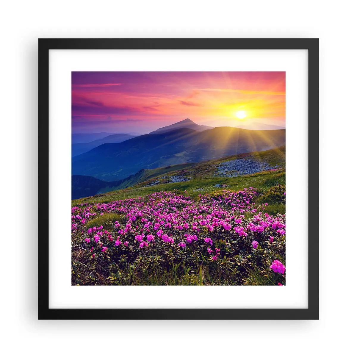 Poster in einem schwarzem Rahmen - … Und drumherum duftet es nach Latschenkiefer und dem Duft von Kräutern - 40x40 cm