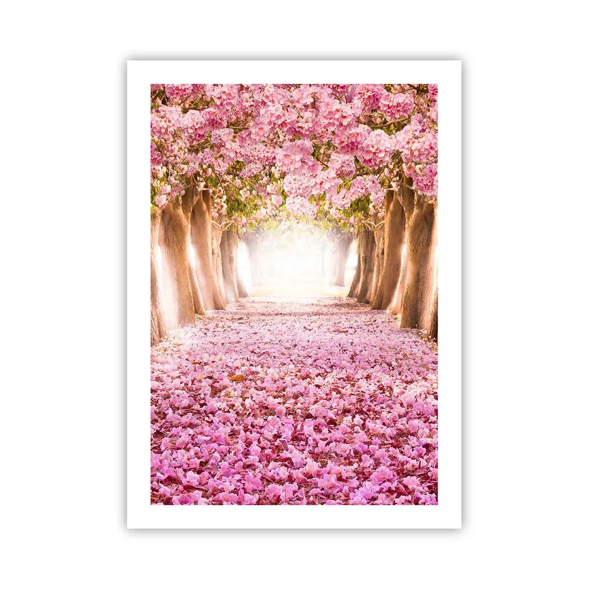Poster - Eine Kirschbaumallee mit einem rosa Blütenteppich - 50x70cm - Der Weg ins Paradies - Moderne Wanddekoration für Wohnzimmer und Schlafzimmer ARTTOR