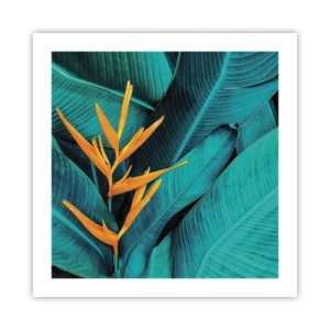 Poster - Eden-Blume - 50x50 cm