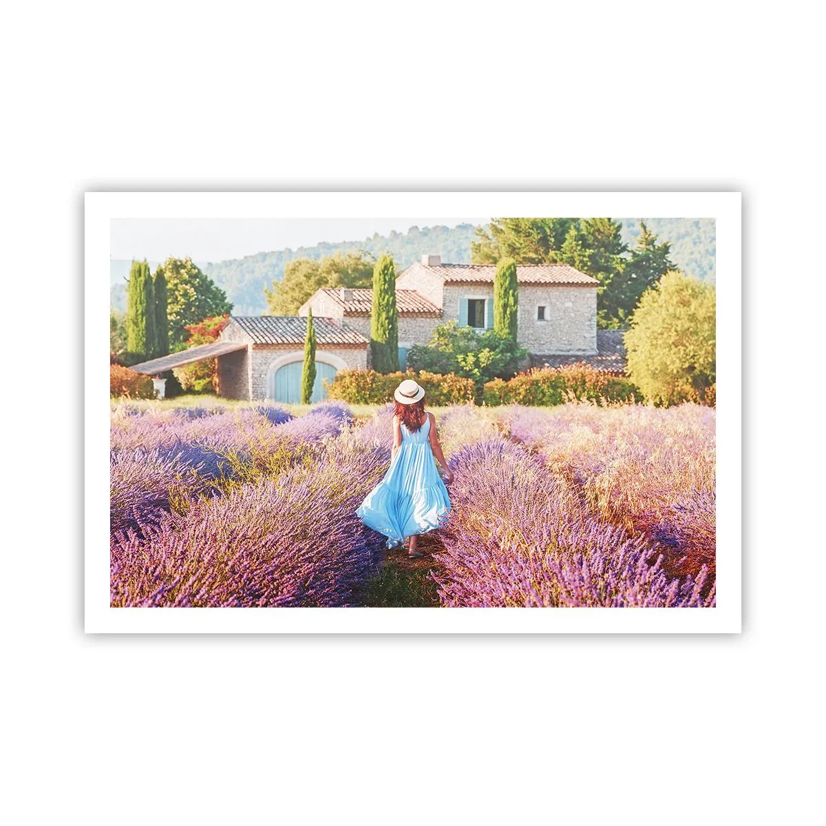 Poster - Lavendel Mädchen - 91x61 cm